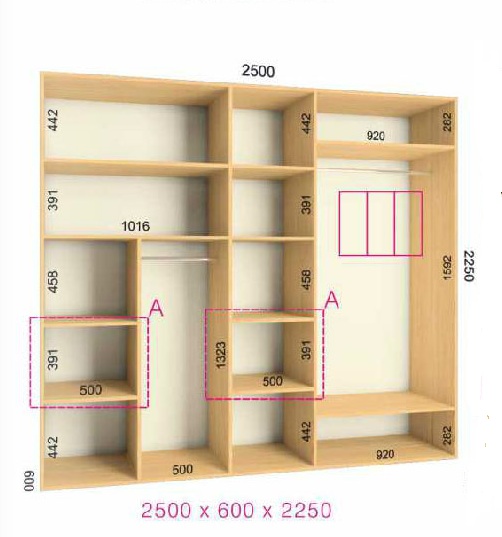 Шкафы-купе 250*60*225 Феникс люкс